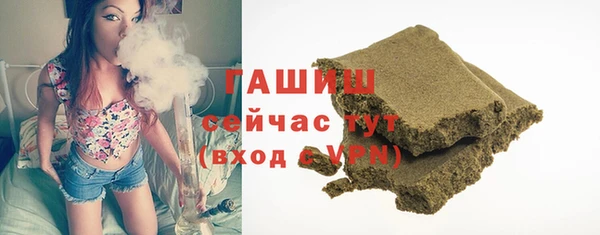 гидра Вяземский