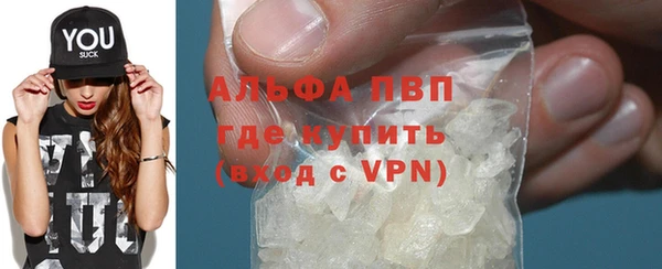 гидра Вяземский