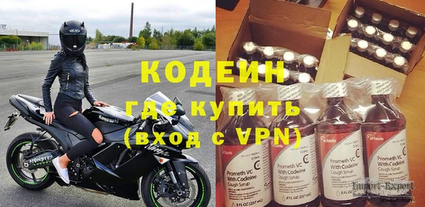 гидра Вяземский