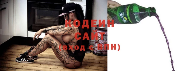 гидра Вяземский