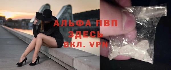 гидра Вяземский