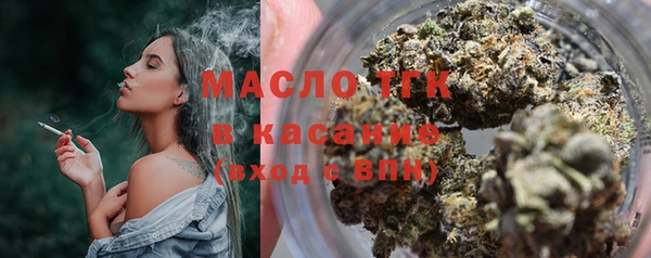гидра Вяземский