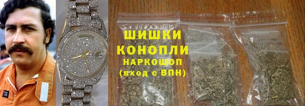 гидра Вяземский
