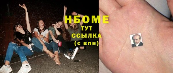 гидра Вяземский