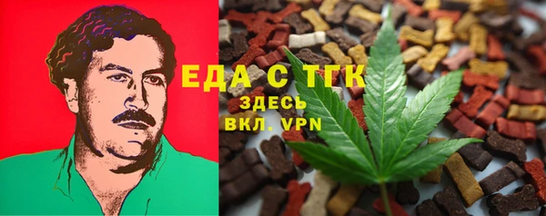 гидра Вяземский