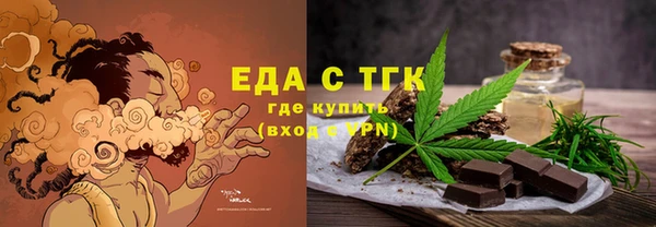 гидра Вяземский