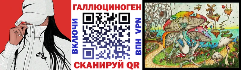 Купить где  Игарка  Псилоцибиновые грибы Psilocybine cubensis 